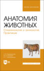 Анатомия животных. Спланхнология и ангиология. Практикум. Учебное пособие для вузов