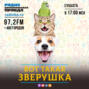 Беспородные кошки, породистые собаки: социологи выяснили, каких животных россияне заводят чаще всего.