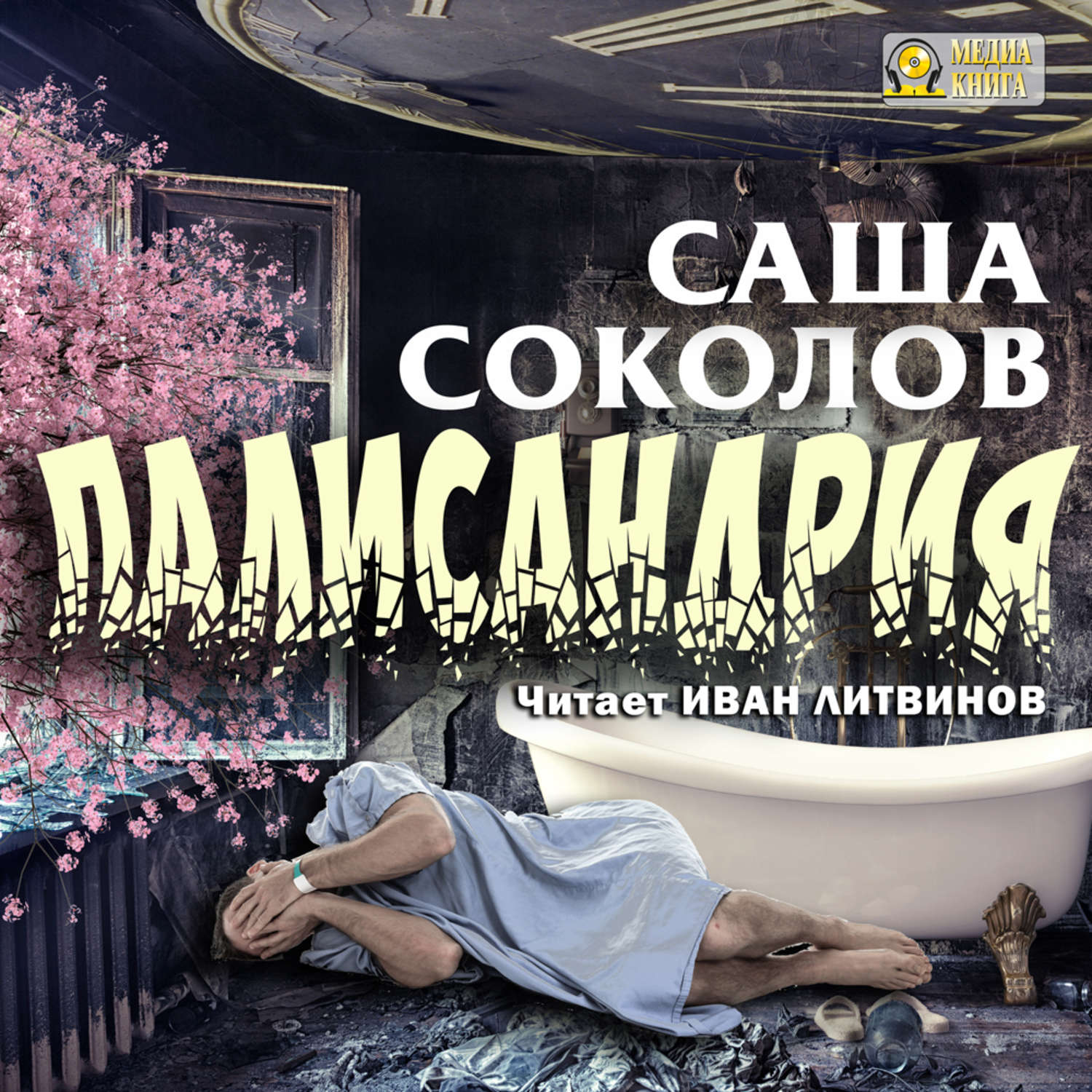 Саша книга. Соколов Саша 