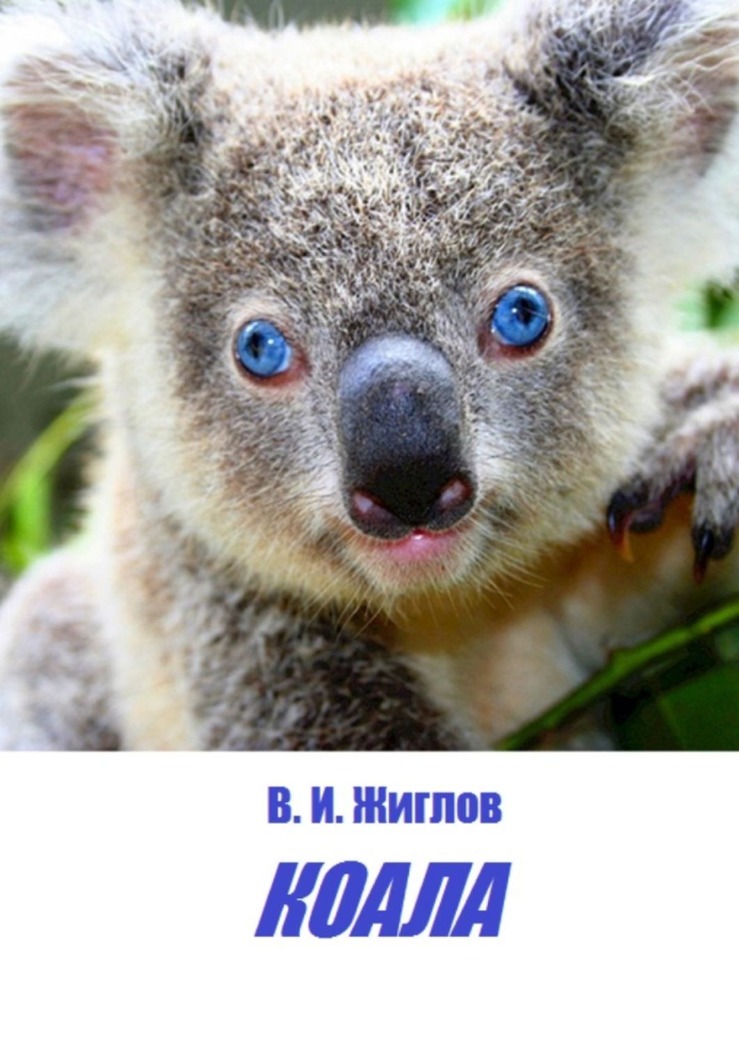 Книга коала. Коала. Коала с книгой. Книжка я коала. Книга о животных с коалой.