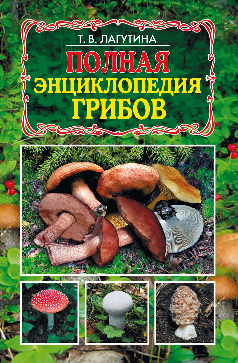 Книга про грибы с картинками