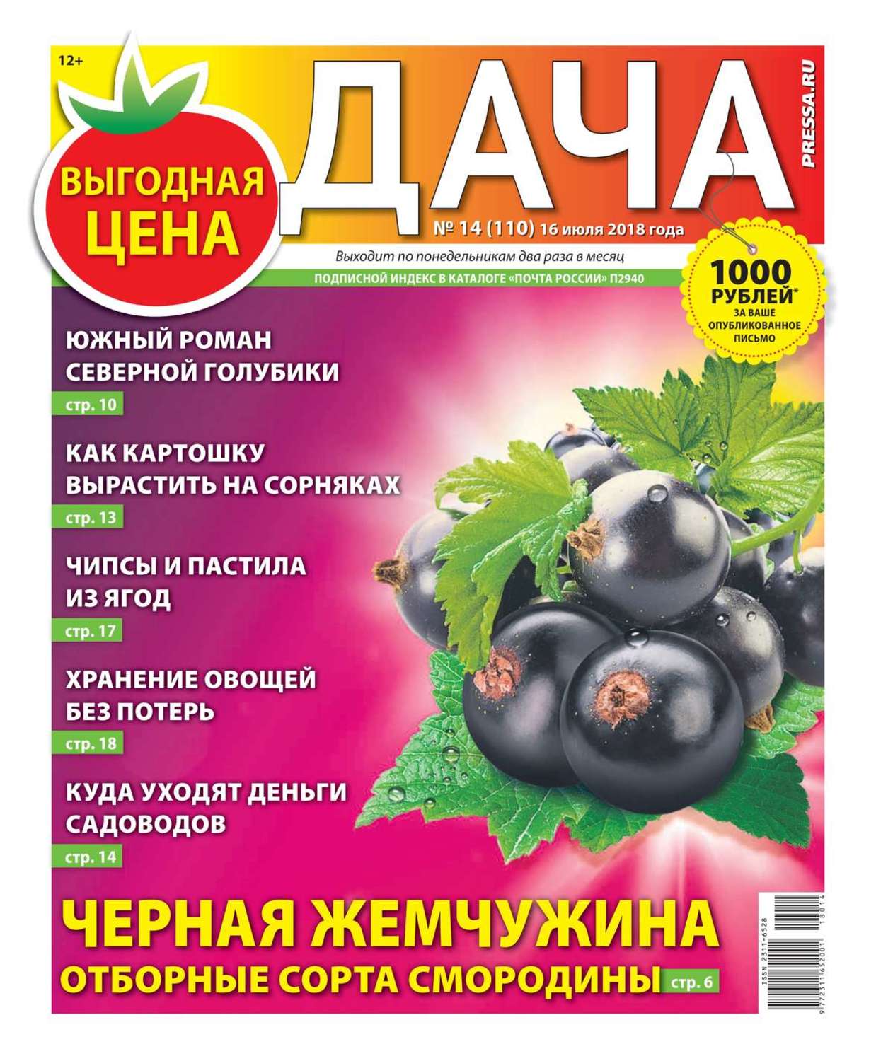 Книги дача. Газета Дачная. Газета дача. Книга черная дача. Газета дача pressa.ru.