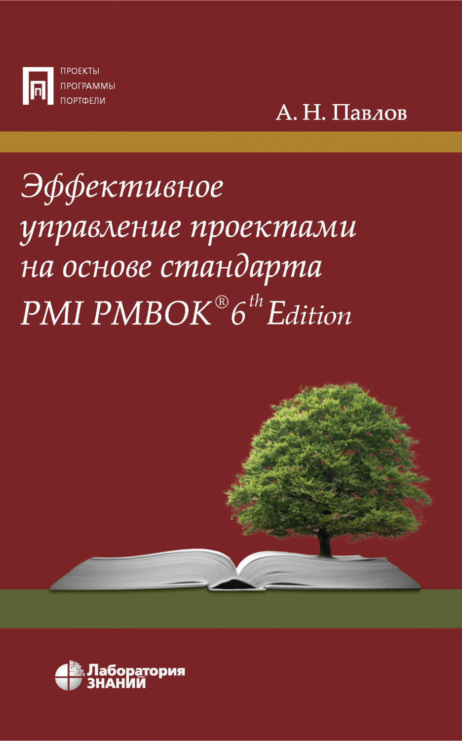 Эффективное управление проектами на основе стандарта pmi pmbok 6th edition а н павлов