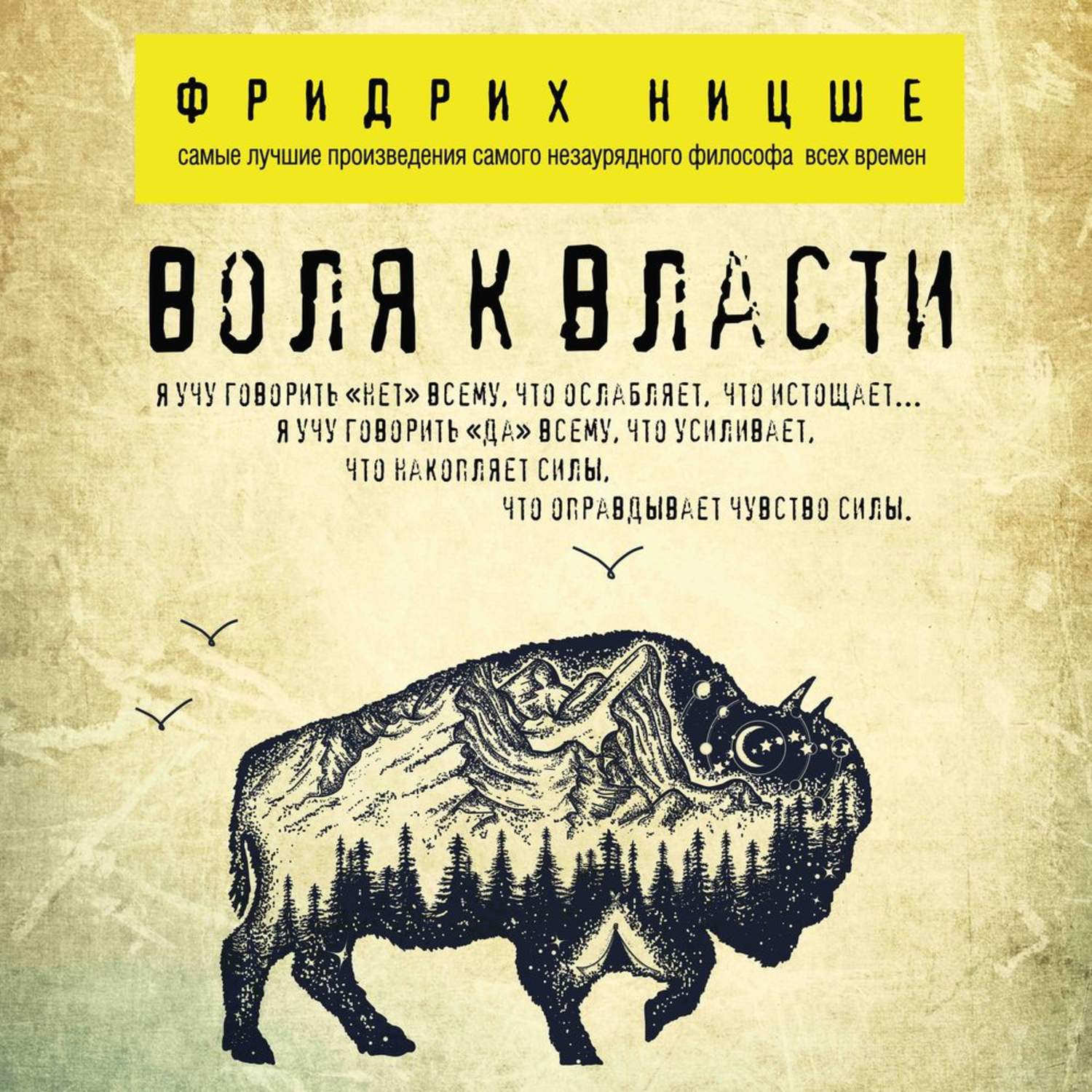 Концепция воли к власти. Воля к власти Ницше. Философия воли и власти ф. Ницше.