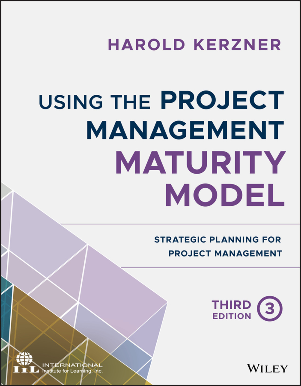 Harold Kerzner, Ph.D., Using the Project Management Maturity Model