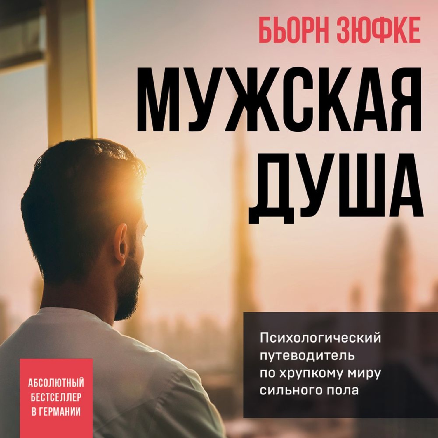 Бьорн Зюфке, Мужская душа. Психологический путеводитель по хрупкому миру  сильного пола – слушать онлайн бесплатно или скачать аудиокнигу в mp3  (МП3), издательство Эксмо