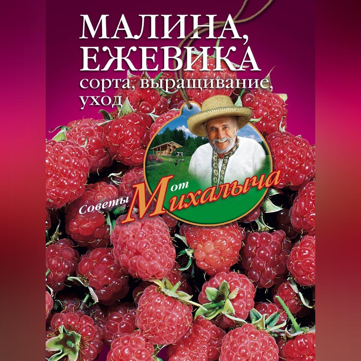 Николай Звонарев малина ежевика