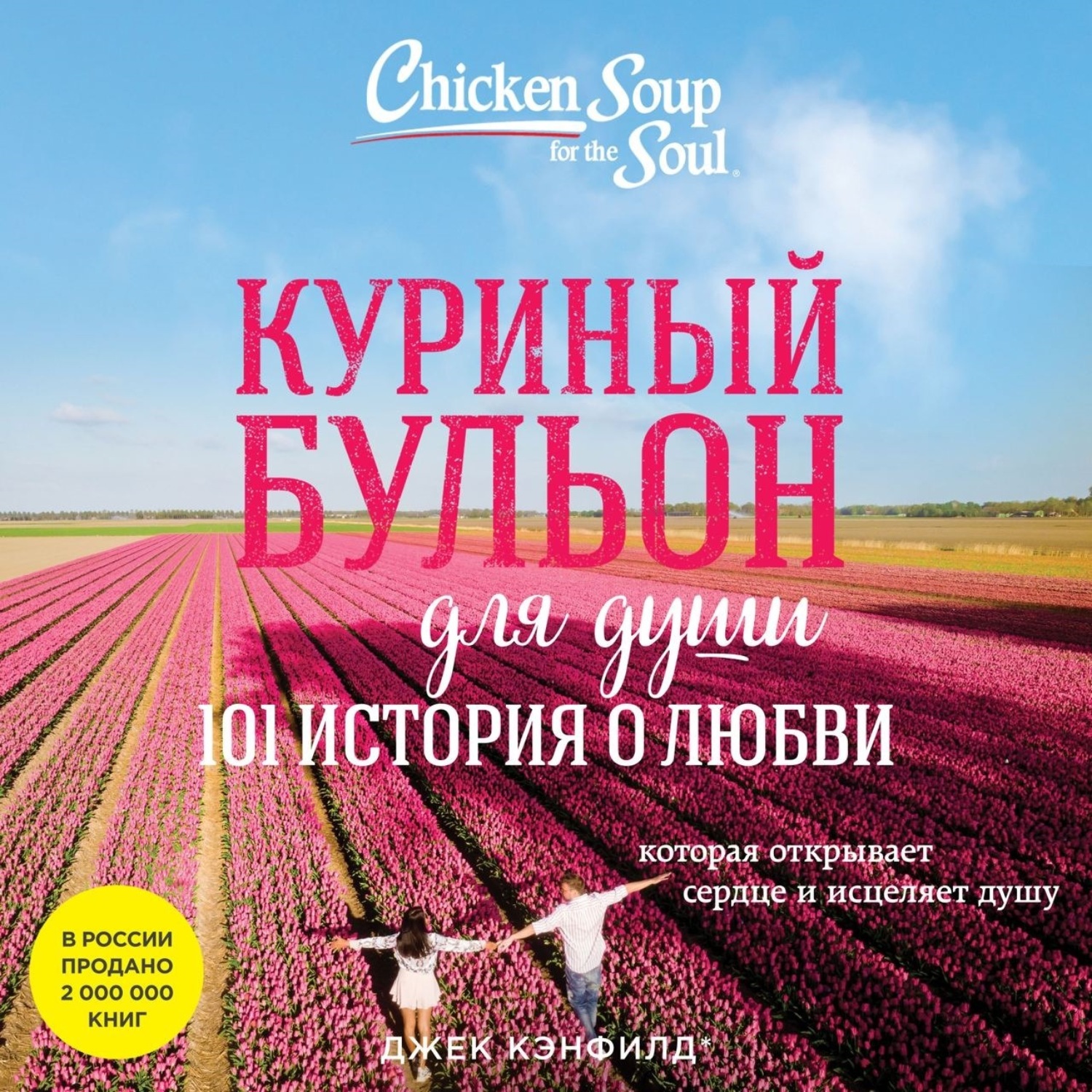 План текста куриный бульон