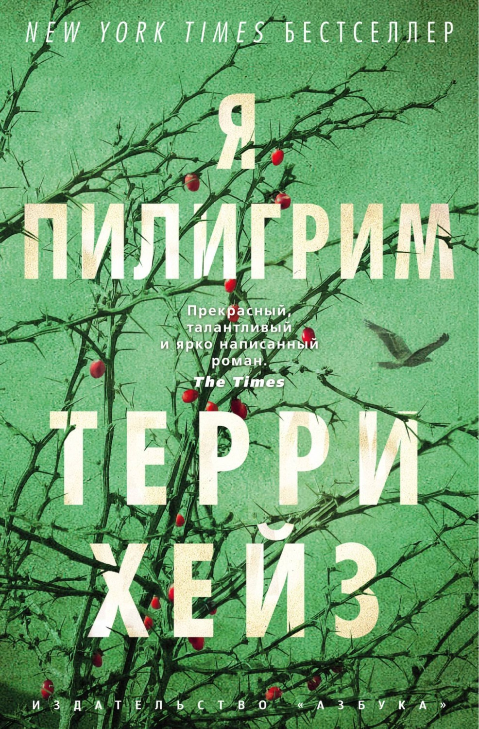 Отзывы о книге «Я Пилигрим», рецензии на книгу Терри Хейза, рейтинг в  библиотеке Литрес