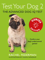 Test Your Dog 2: Genius Edition: Confirm your dog’s undiscovered genius!