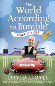 Start the Car: The World According to Bumble