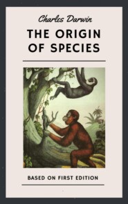 Charles Darwin: The Origin of Species (First Edition)