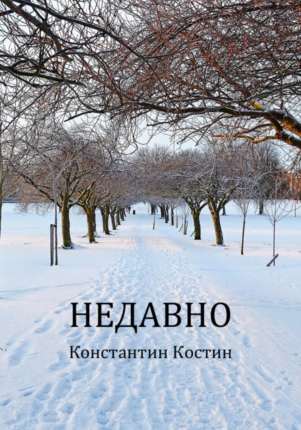Недавно, Константин Александрович Костин – скачать книгу бесплатно fb2 ...